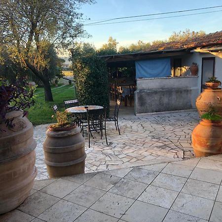 Agriturismo La Canonica 만시아노 외부 사진