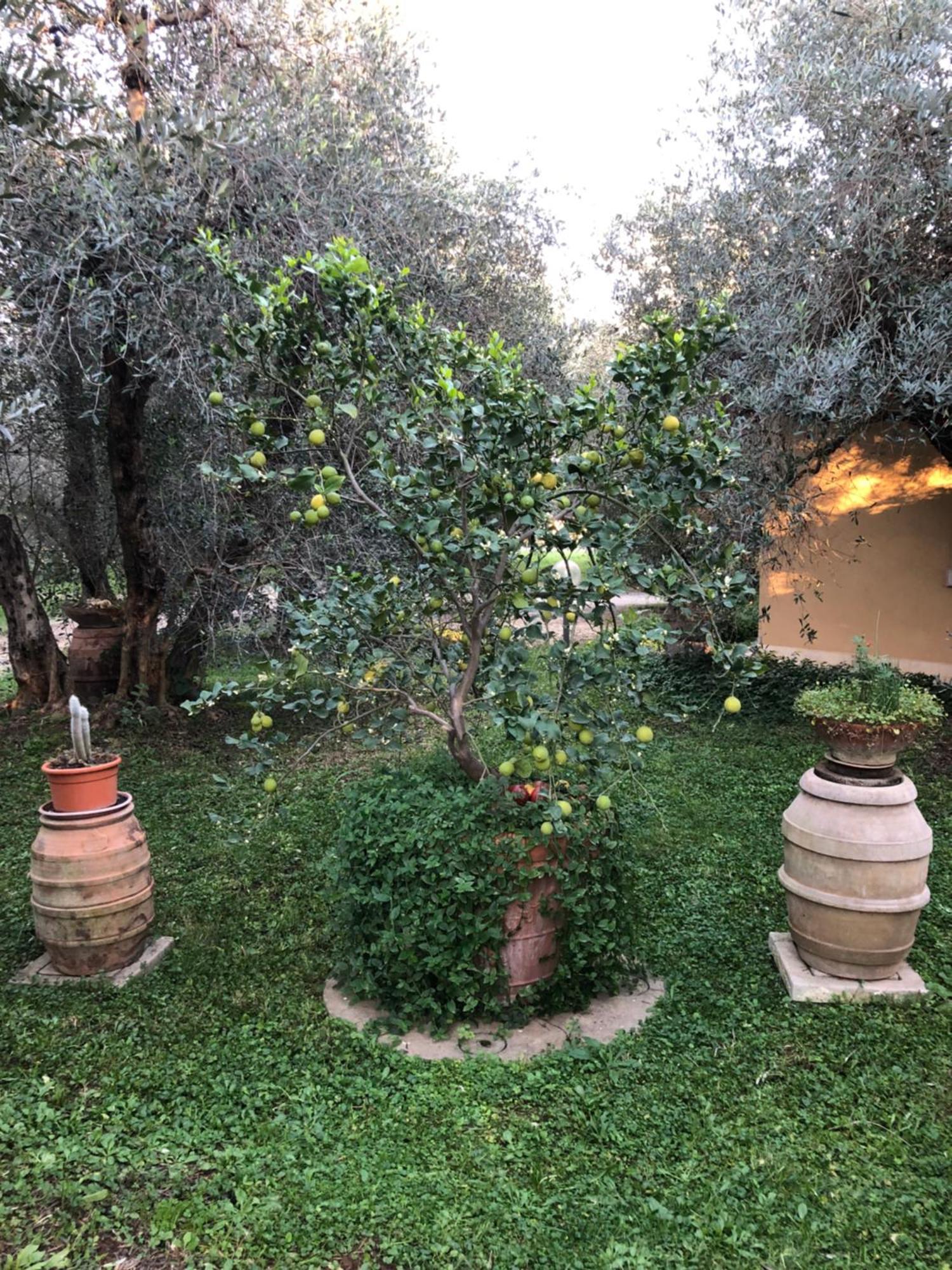 Agriturismo La Canonica 만시아노 외부 사진